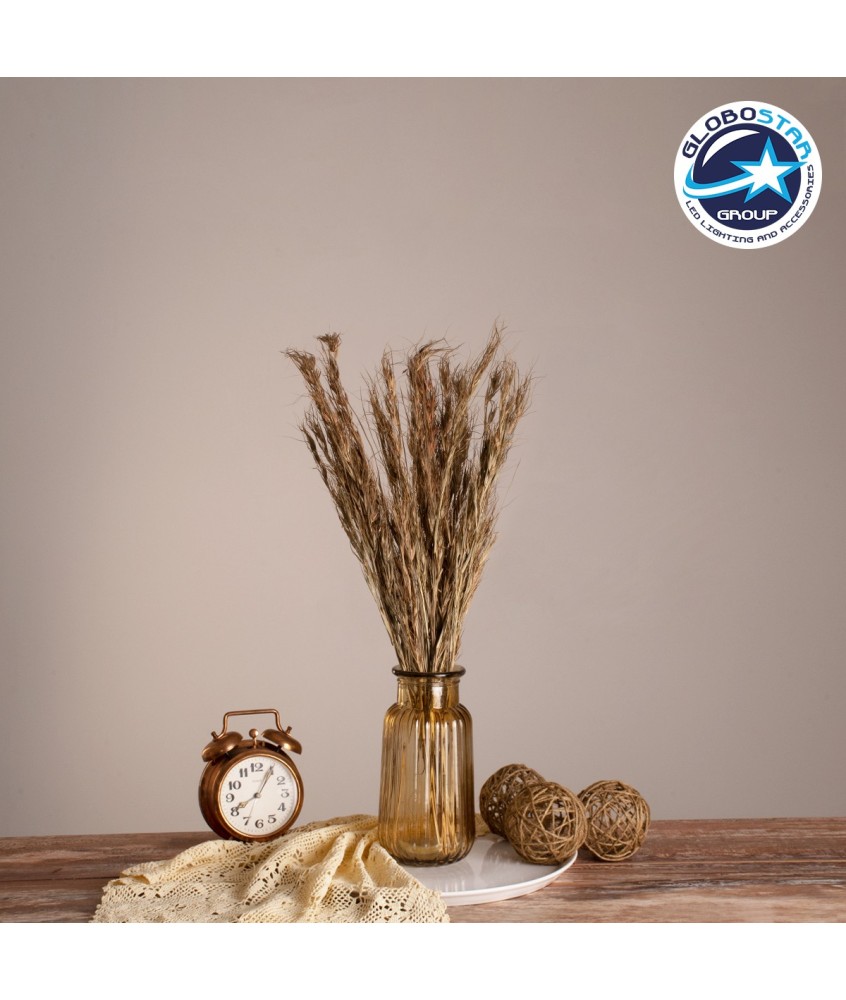 GloboStar® COLATAI 36549 Αποξηραμένο Φυτό Εράγρωστις - Μπουκέτο Διακοσμητικών Κλαδιών Μπεζ - Καφέ Υ60cm - Σετ 50 τμχ